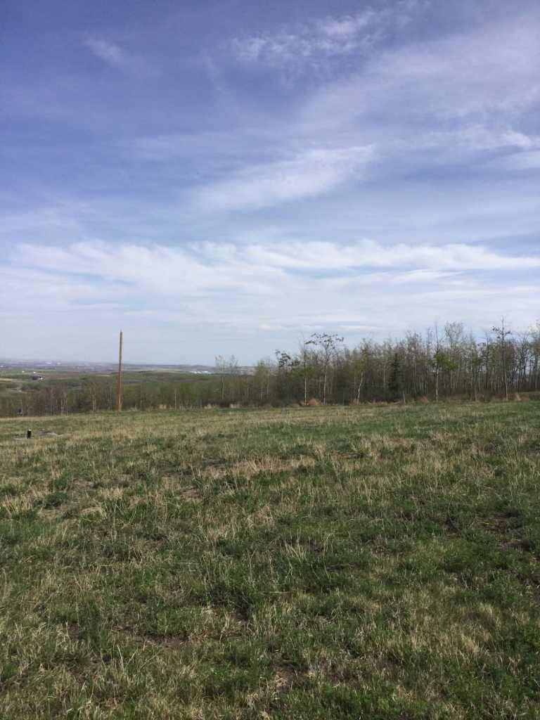 Rural Foothills County, AB T1S 7A6,64226 306 AVE West