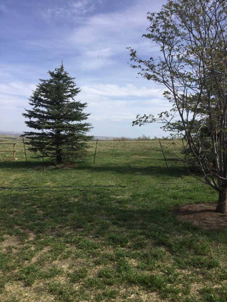 Rural Foothills County, AB T1S 7A6,64226 306 AVE West