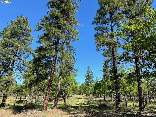 Goldendale, WA 98620,D PINE RD #3