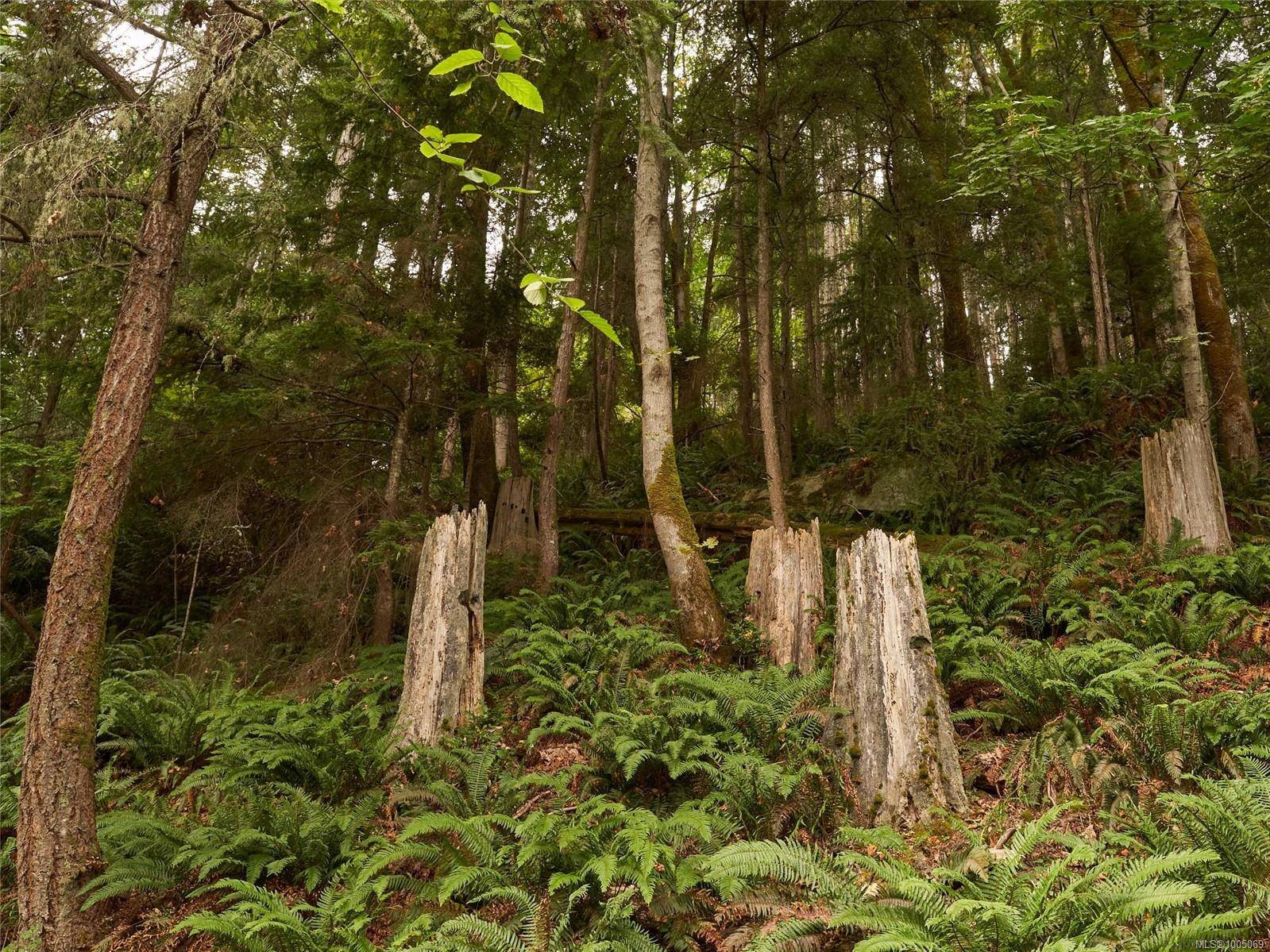 Gabriola Island, BC V0V 0V0,Lot 105 Pequod Cres