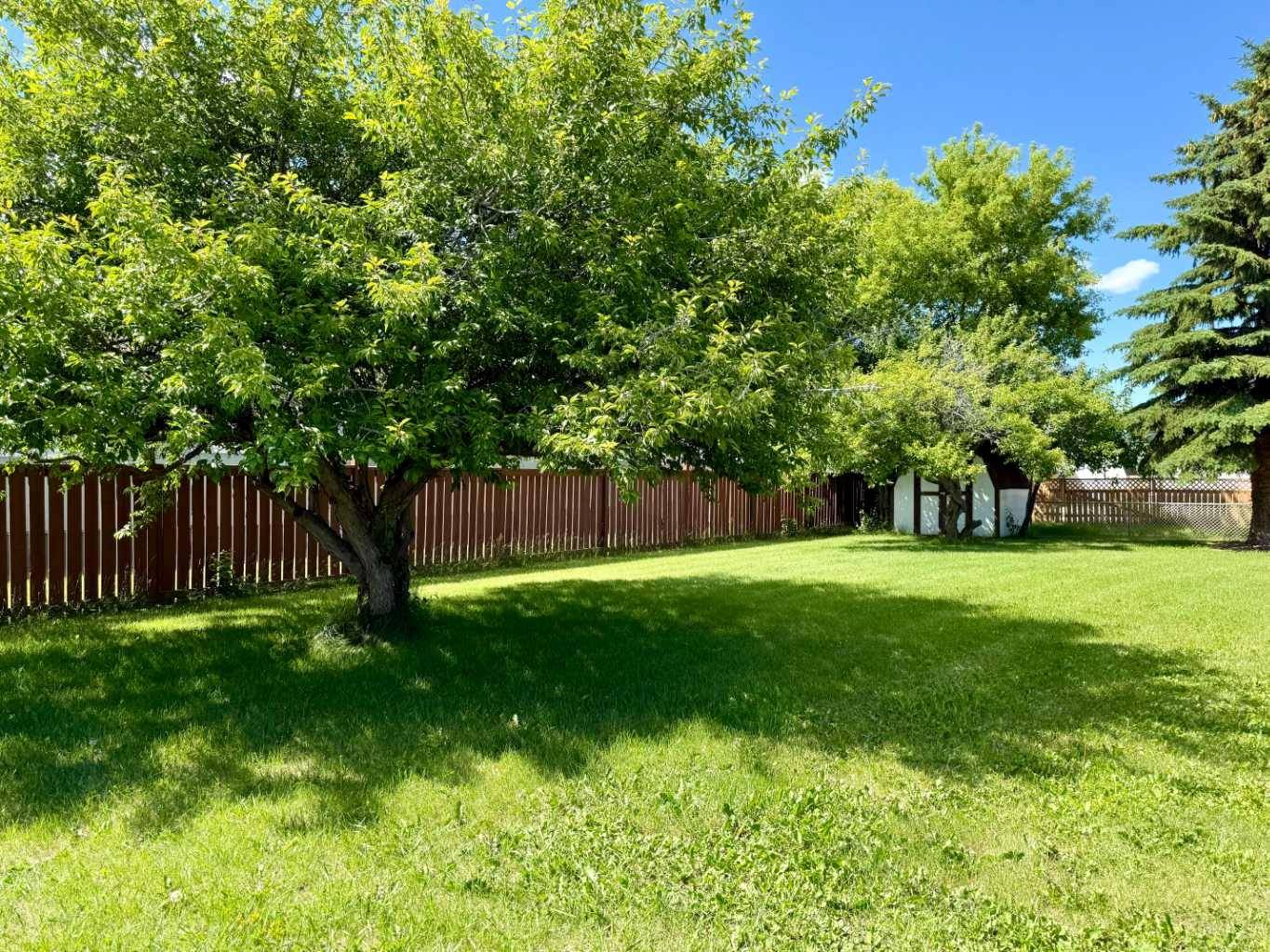 Wainwright, AB T9W 1H9,1958 5 AVE