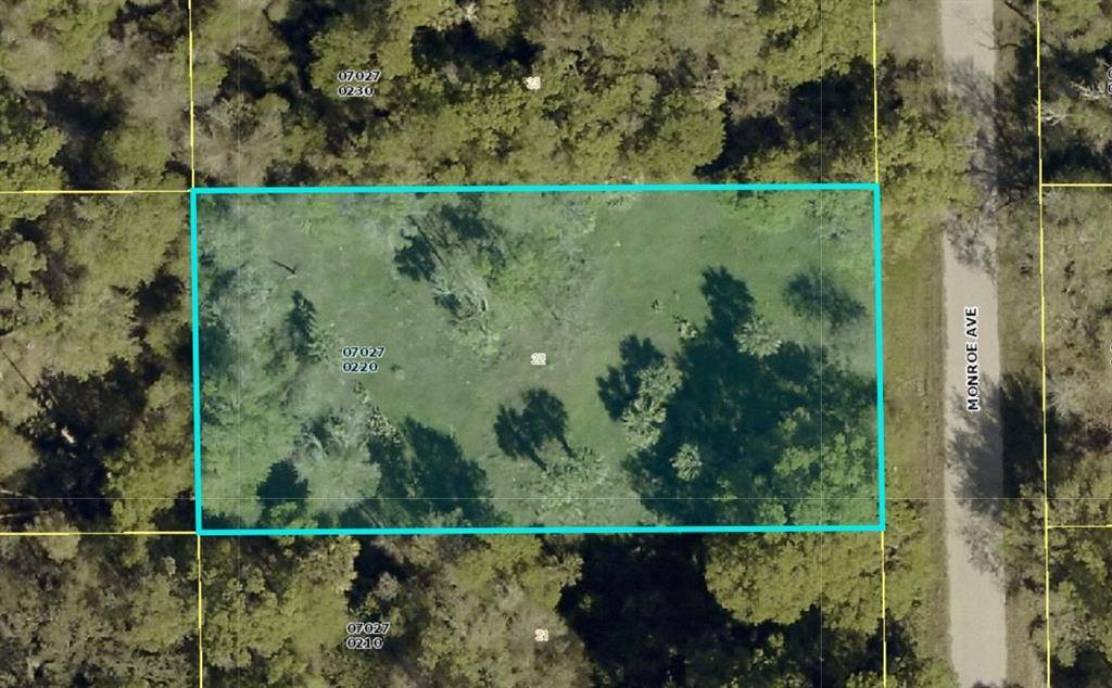 Lehigh Acres, FL 33936,1019 Monroe Ave