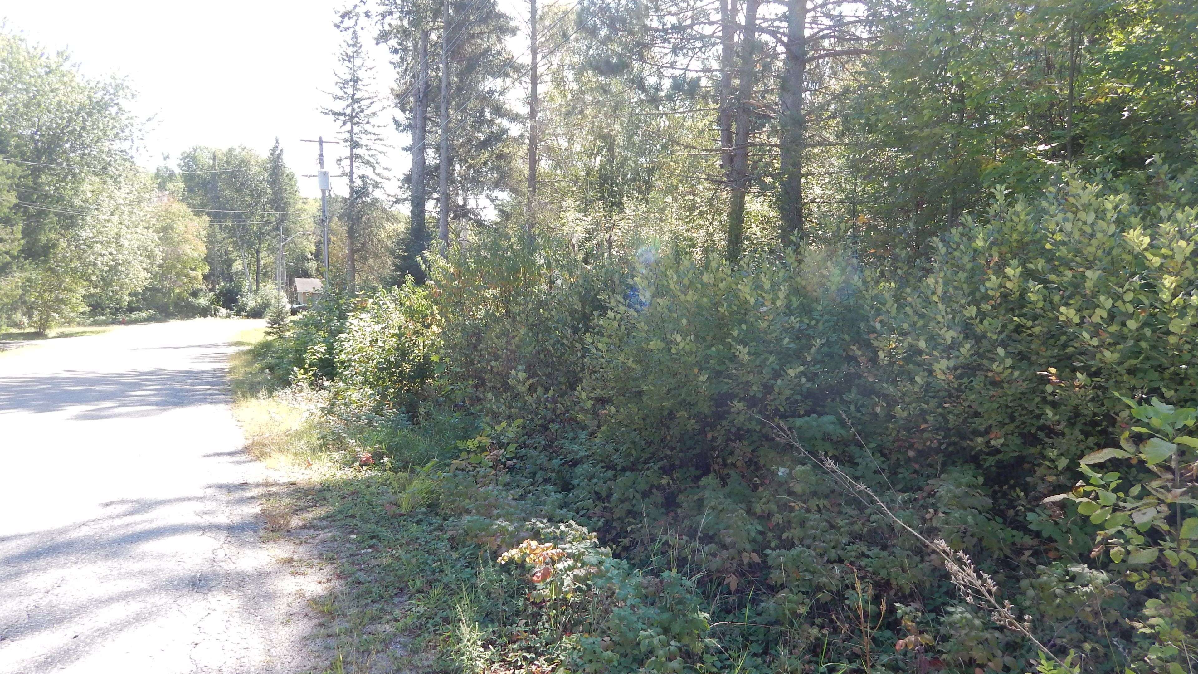 Address Not Disclosed