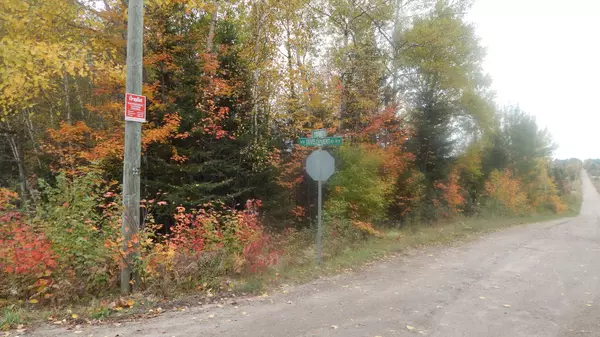 Bonfield, ON P0H 2E0,Lot 25 DEVELOPMENT RD