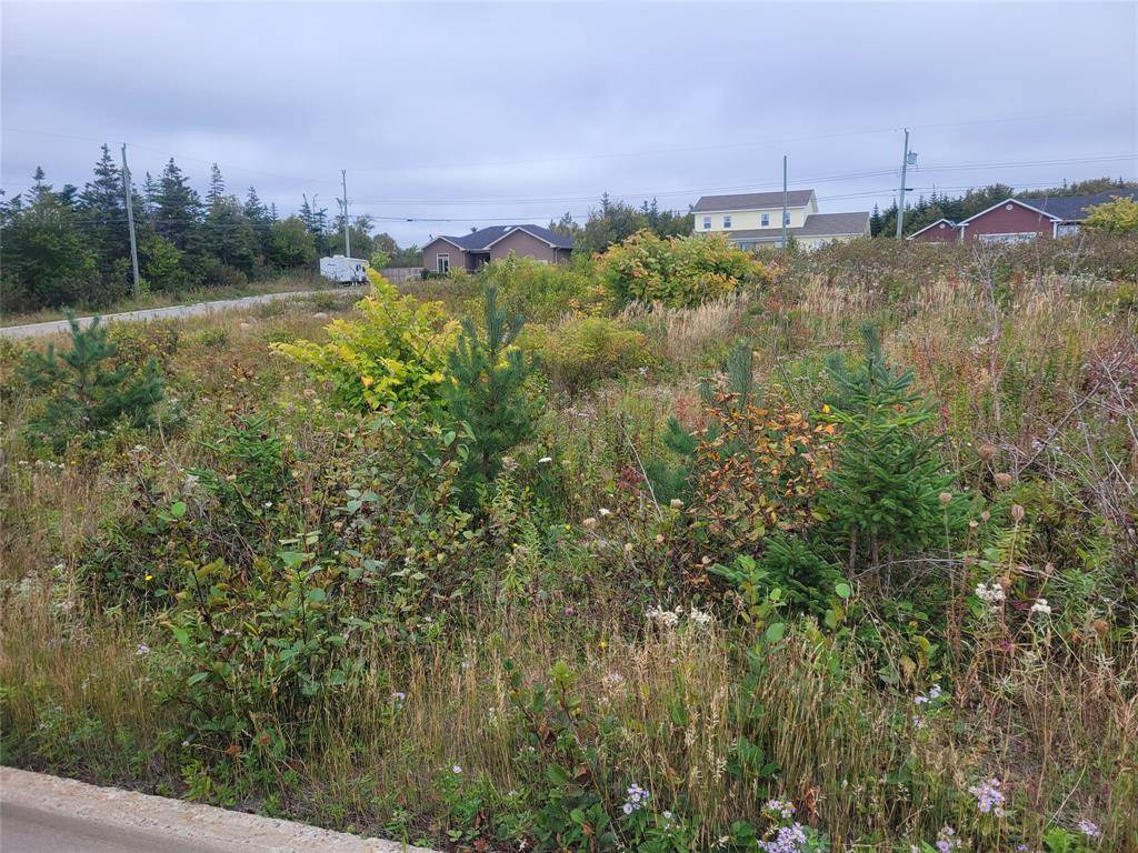 1 Ridgeview Avenue, Stephenville, NL A2N 0B7