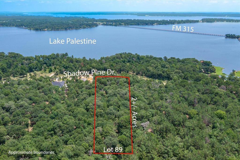 Larue, TX 75770,3109 Shadow Pine Drive