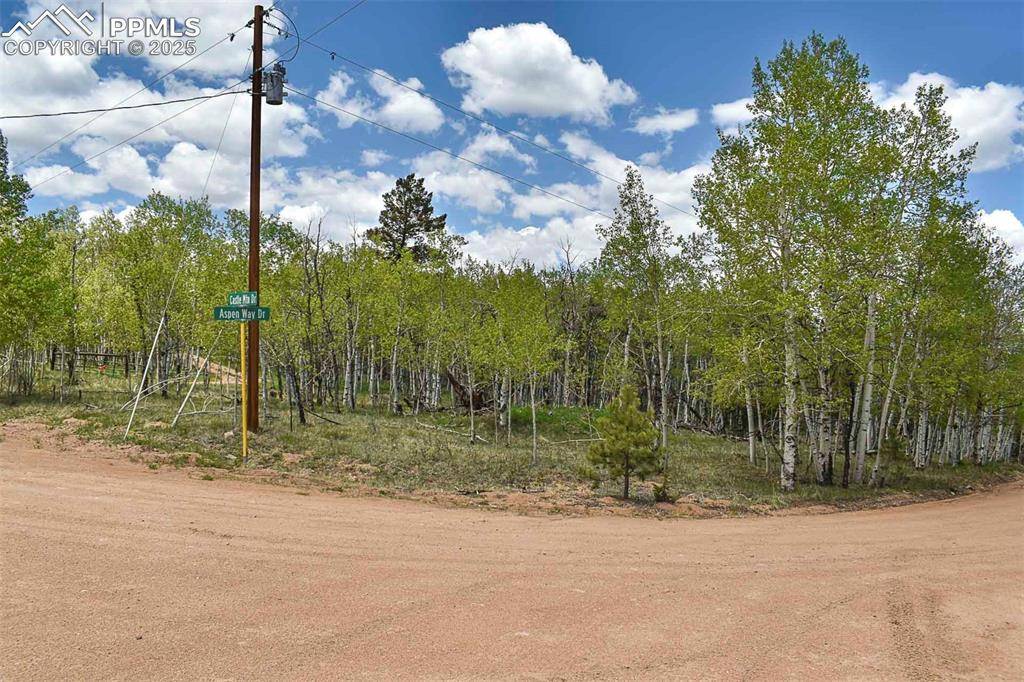 55 Aspen Way DR, Guffey, CO 80820