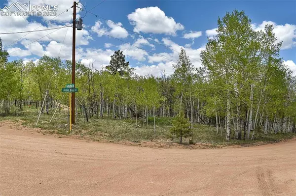 55 Aspen Way DR, Guffey, CO 80820
