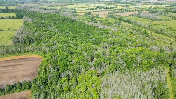 Loyalist, ON K0H 1G0,Lot B Townline RD