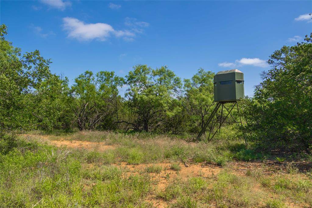 Santa Anna, TX 76878,1448 County Road 121