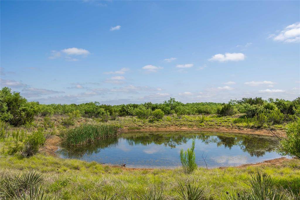 Santa Anna, TX 76878,1448 County Road 121