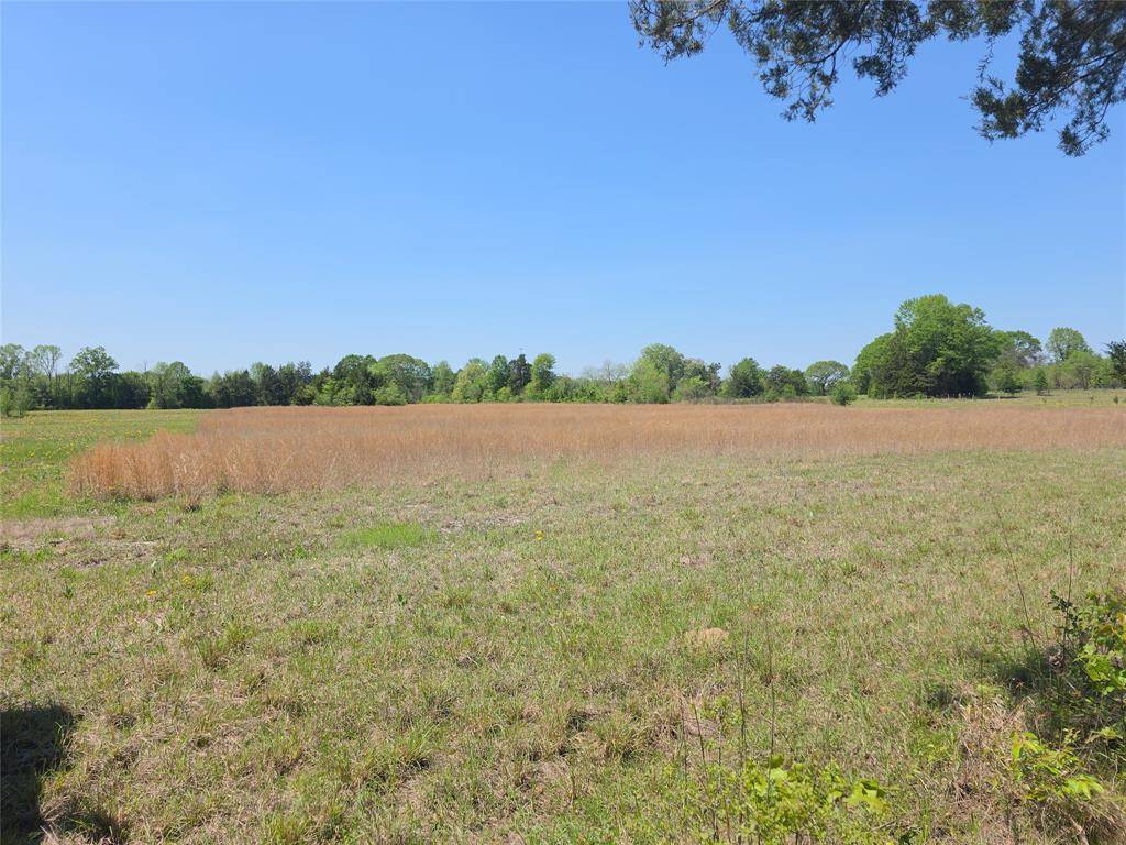0000 Cr-4240, Simms, TX 75574