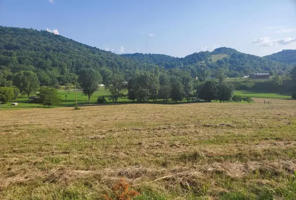 0 Wilkerson Hollow Ln Lot 5, Brush Creek, TN 38547