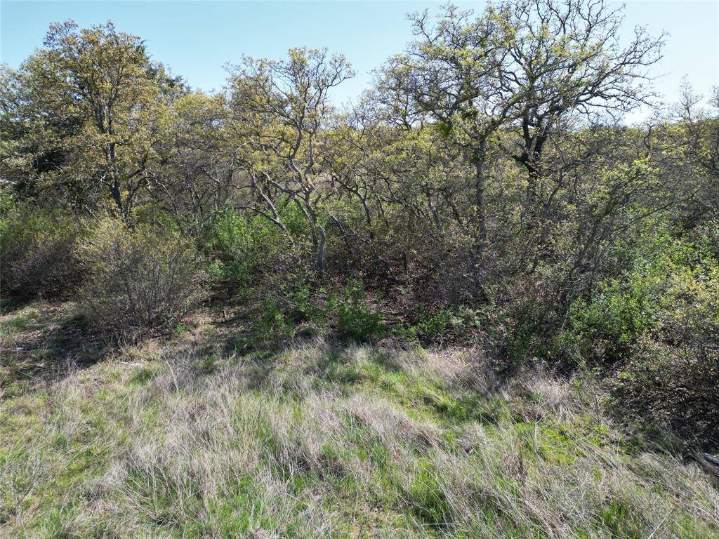 Cisco, TX 76437,Lot 147 & 148 Hidden Shores