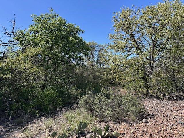 Cisco, TX 76437,Lot 147 & 148 Hidden Shores