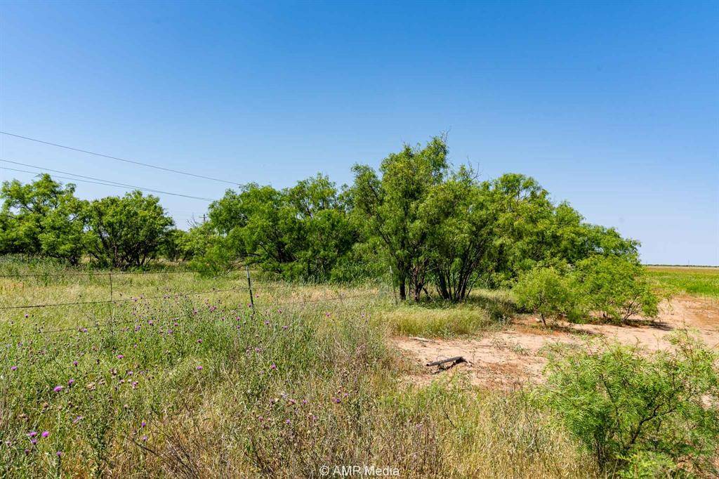 Rotan, TX 79546,FM 2142 FM 2142