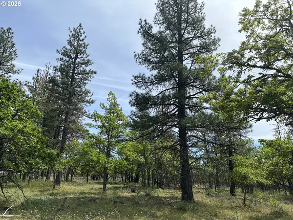 Goldendale, WA 98620,D PINE RD #3