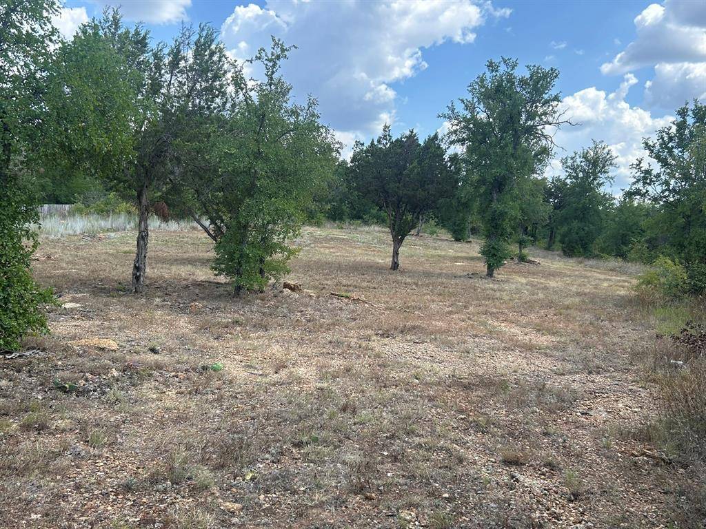 Graham, TX 76450,1406 Willow Wood Court