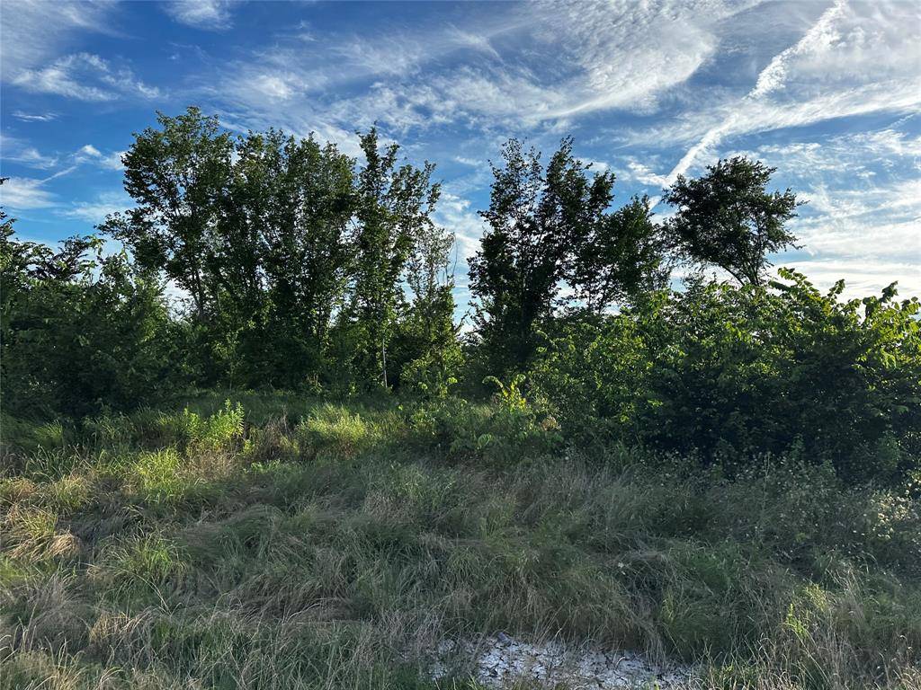 Paris, TX 75460,TBD Fm-1499
