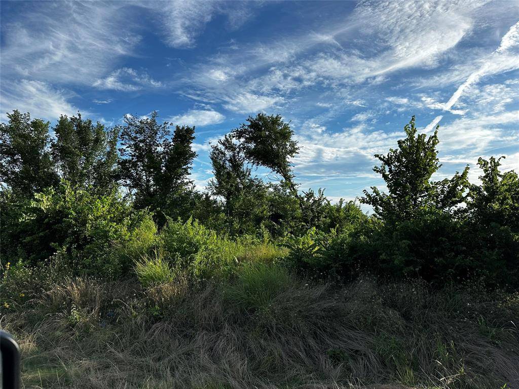Paris, TX 75460,TBD Fm-1499