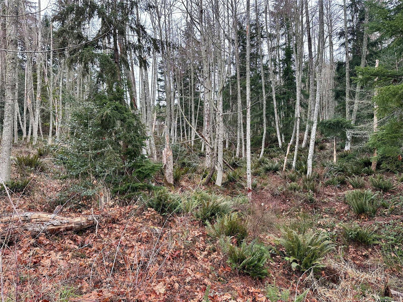 Lot 15 Dukes Rd, Salt Spring, BC V8K 2B5