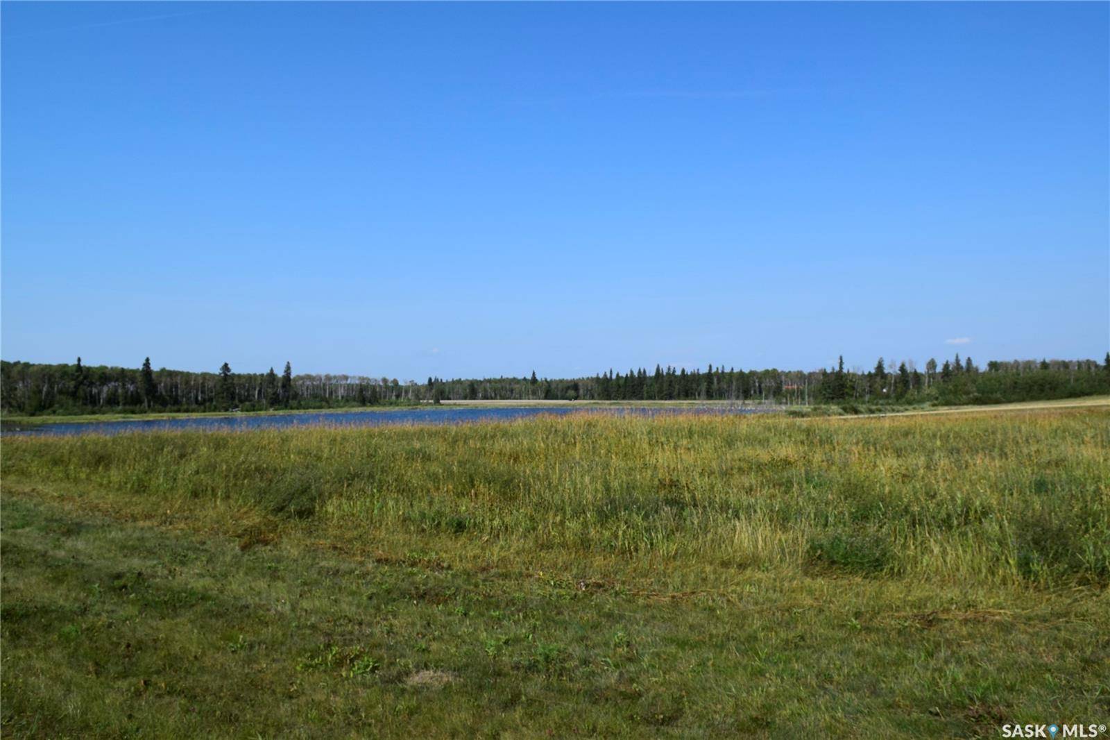 Paddockwood Rm No. 520, SK S0J 0N0,300 South Shore ESTATES