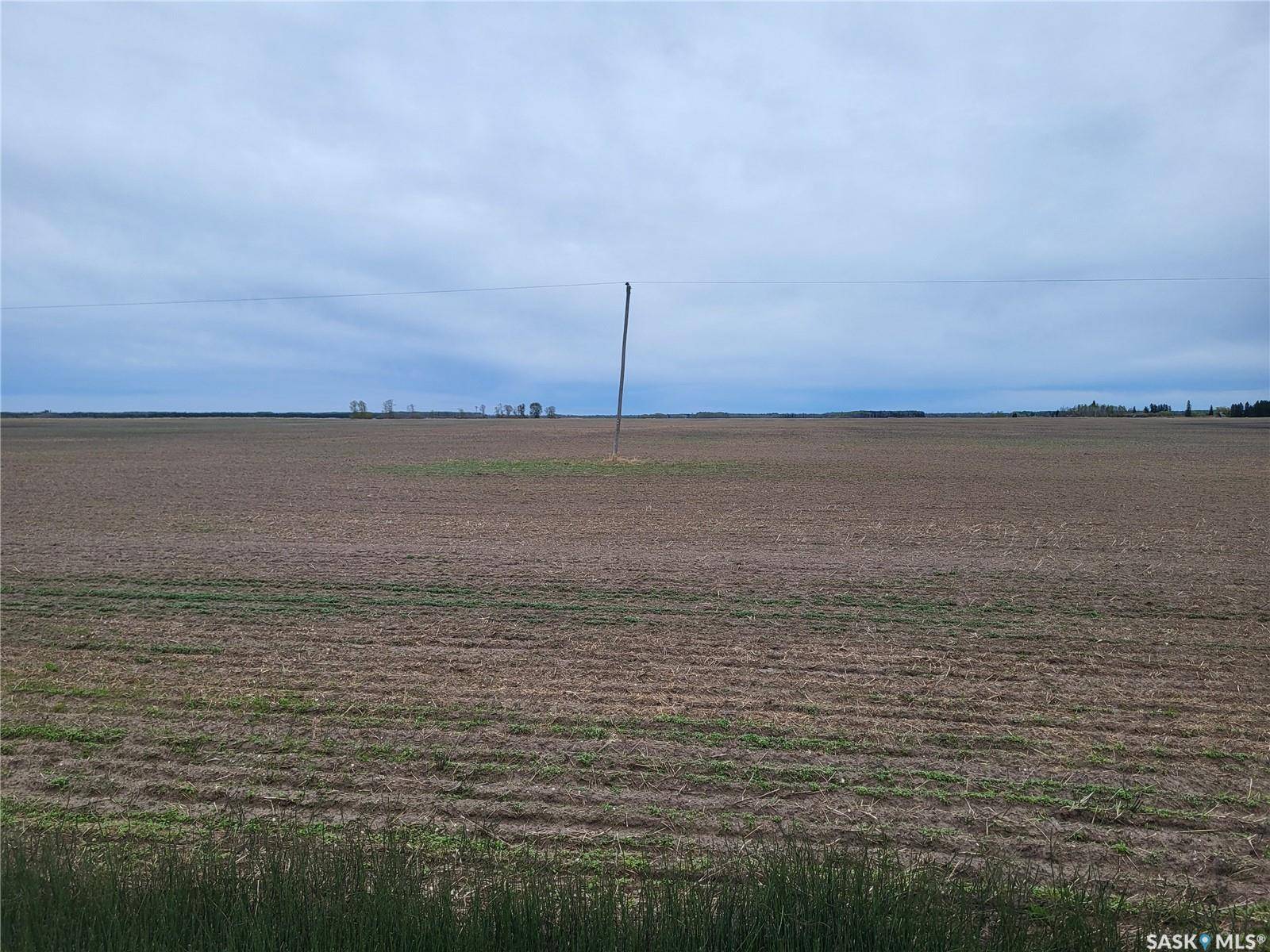 Torch River Rm No. 488, SK S0J 0B1,Rural Address
