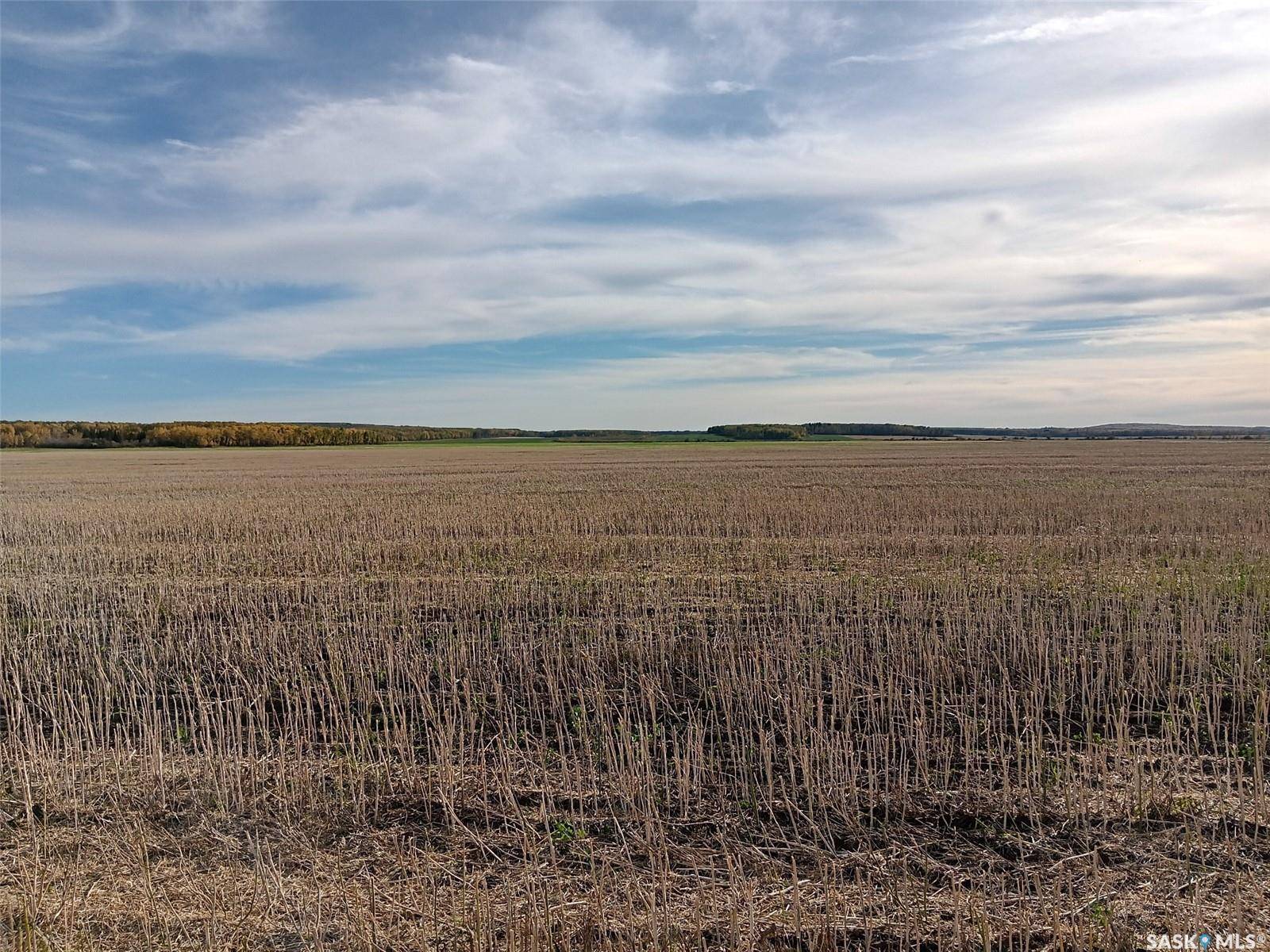 Arborfield Rm No. 456, SK S0E 0A0,Rural Address