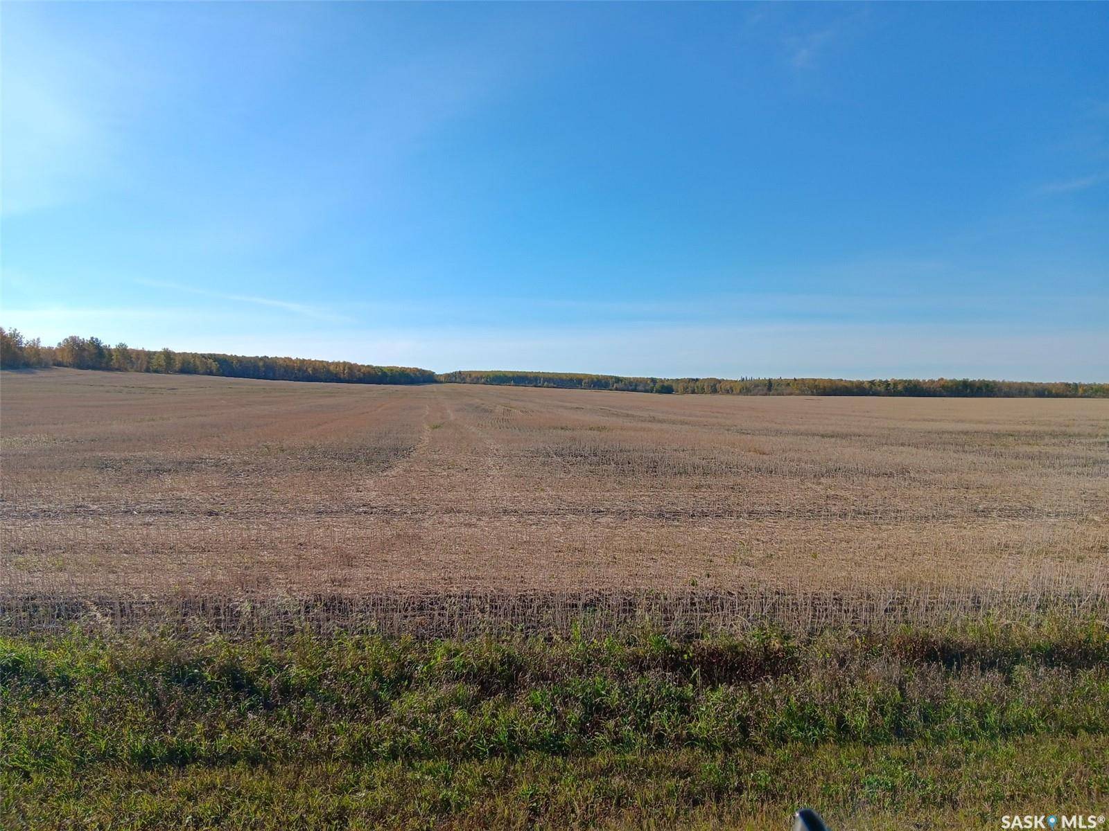 Arborfield Rm No. 456, SK S0E 0A0,Rural Address