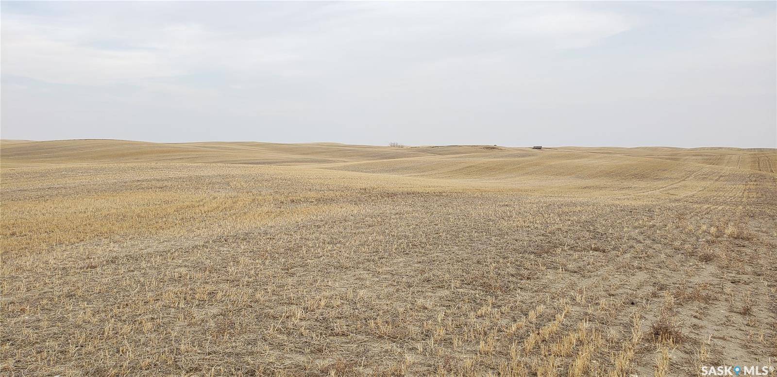 Rural Address, Sutton Rm No. 103, SK S0H 3J0