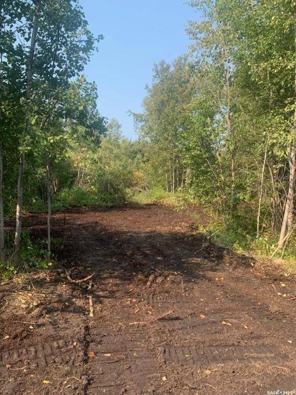 Big River Rm No. 555, SK S0J 0E0,Rural Address