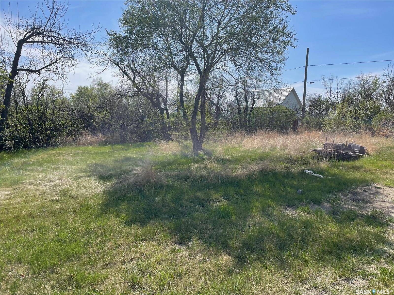 Ruddell, SK S0M 2S0,16 Elm STREET