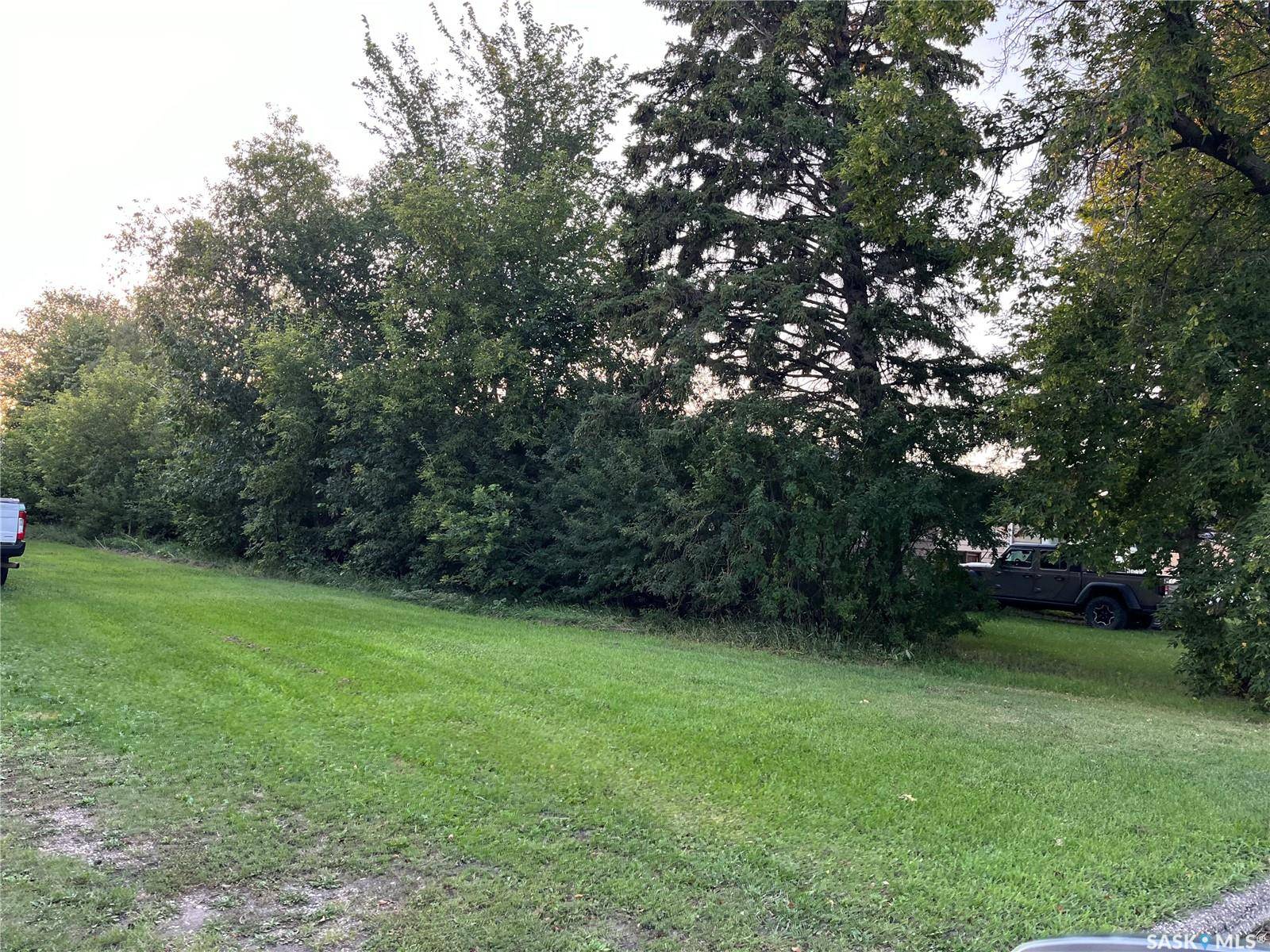 73 Jim Headington WAY, Wadena, SK S0A 4J0