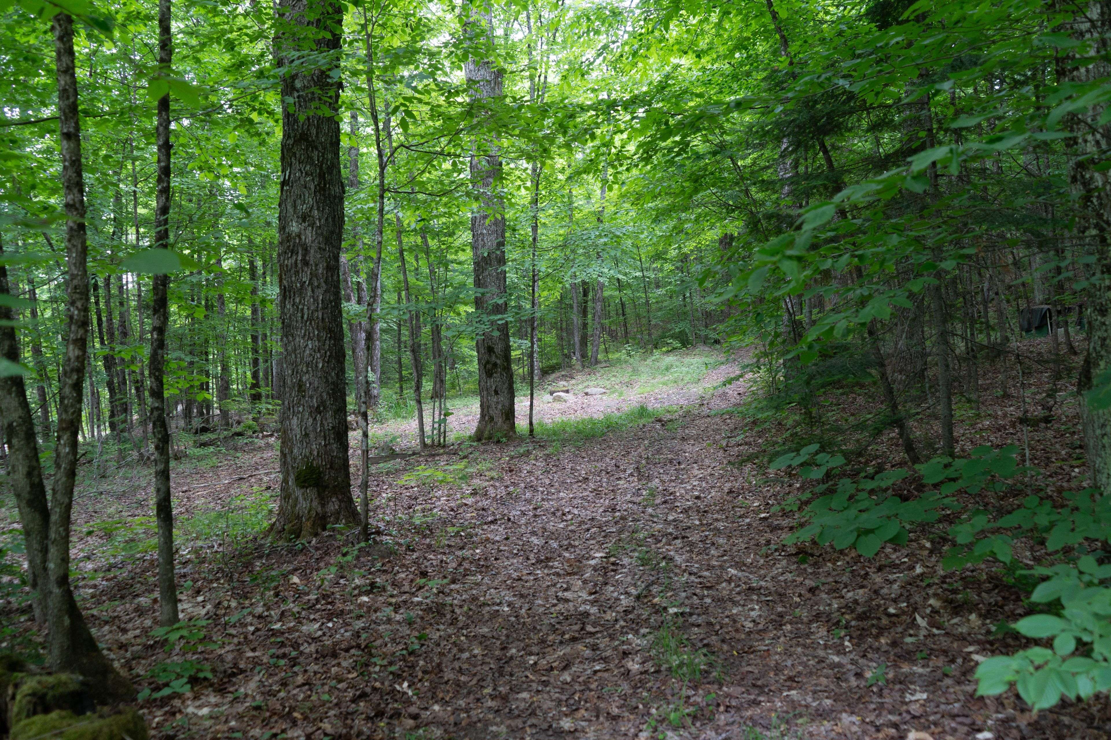 Hastings Highlands, ON K0L 2K0,219 Elgin RD