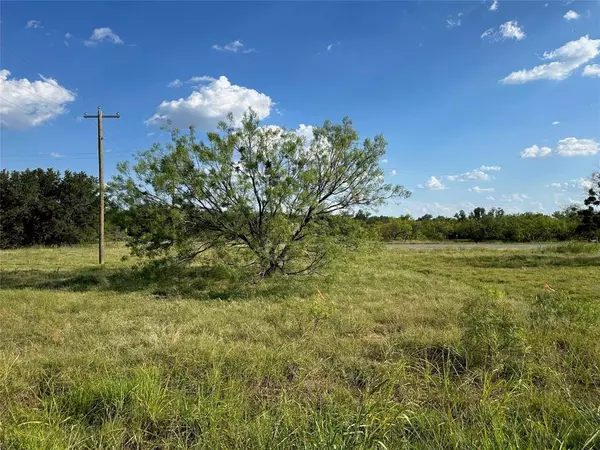 Brownwood, TX 76801,973 Feather Bay Drive