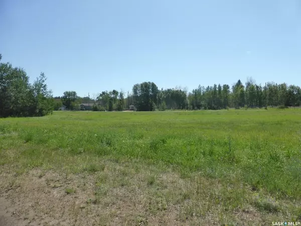 Shellbrook Rm No. 493, SK S0J 1G0,Lot 6 B AVENUE