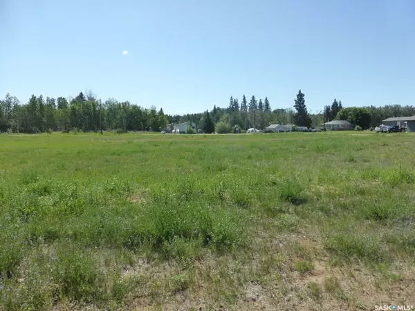Shellbrook Rm No. 493, SK S0J 1G0,Lot 6 B AVENUE