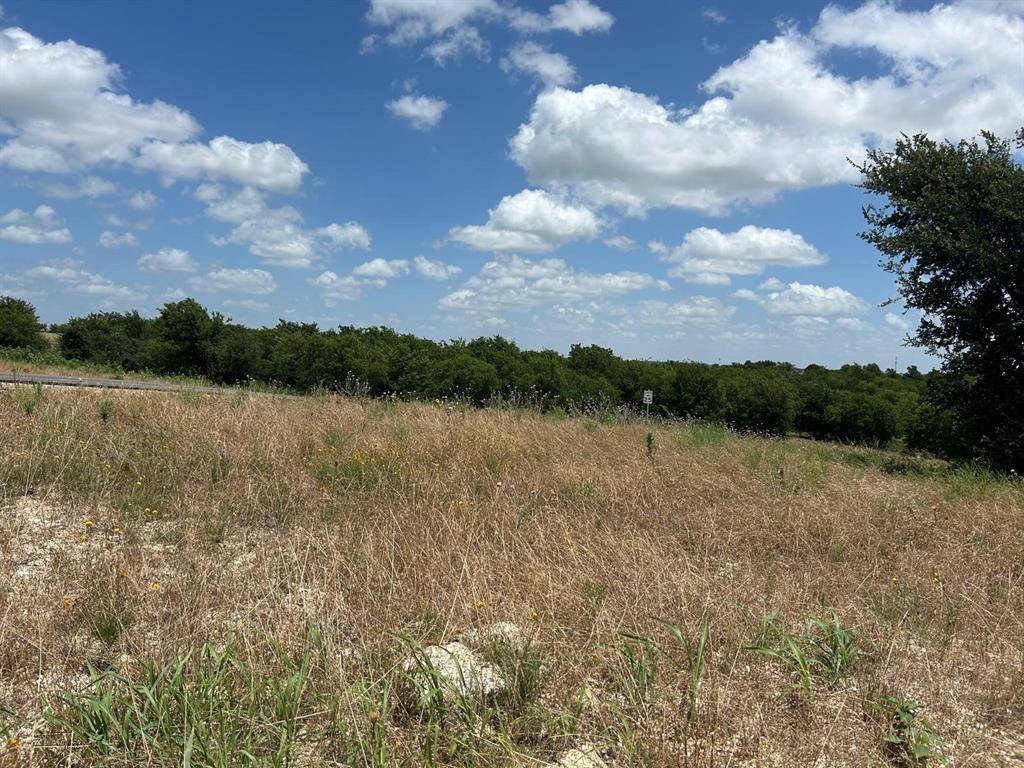 Granbury, TX 76049,2517 Tom Chaney #103 Drive