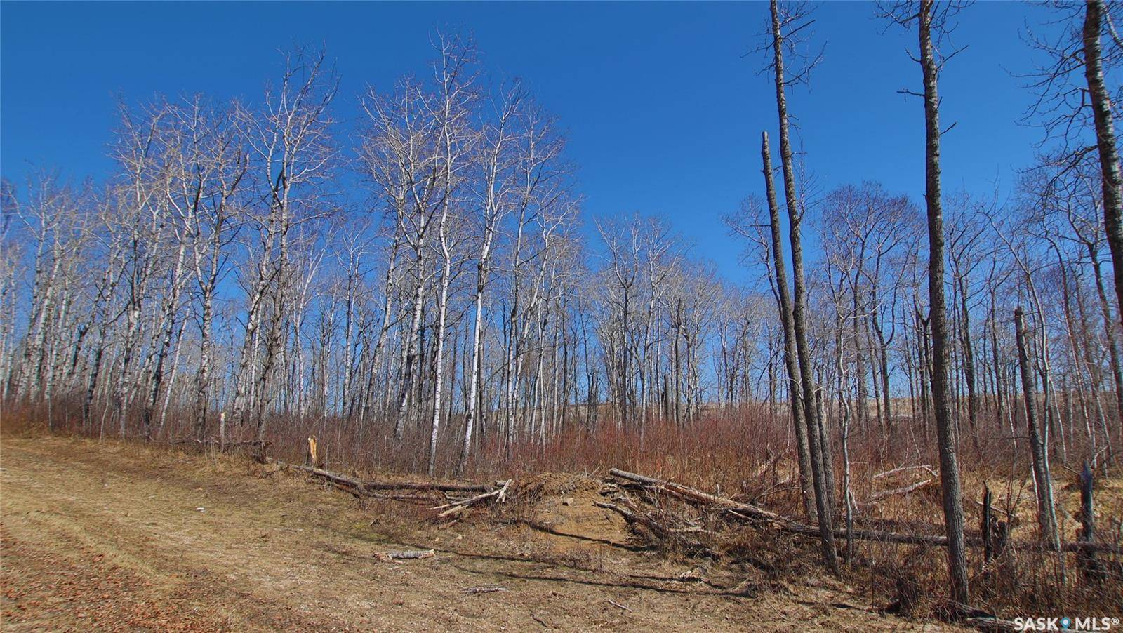 Canwood Rm No. 494, SK S0J 0S0,Rural Address