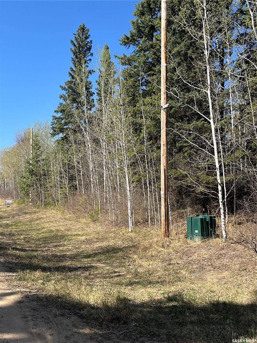 6 Buckingham TRAIL, Big River Rm No. 555, SK S0J 0E0