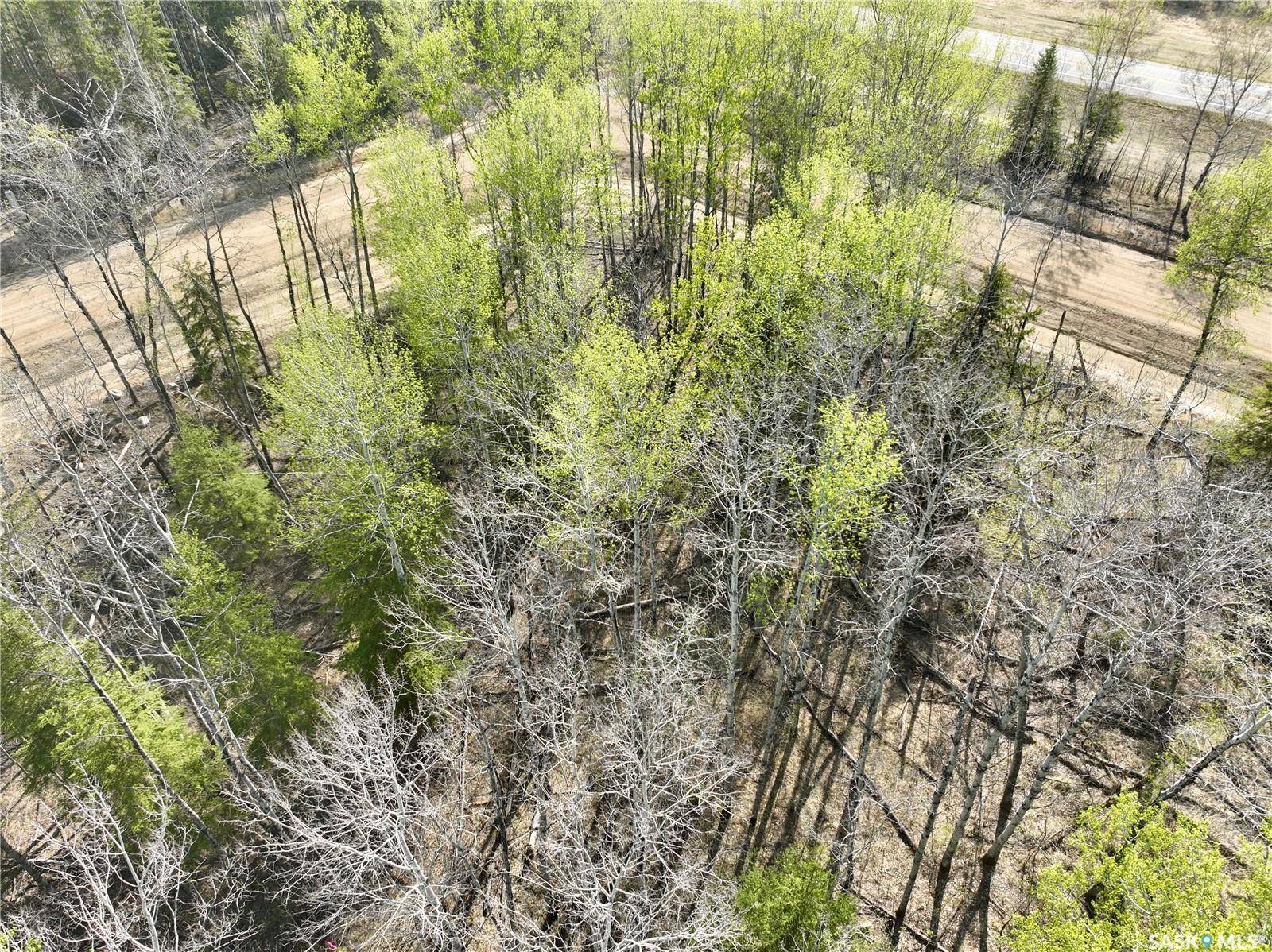 Paddockwood Rm No. 520, SK S0J 3E0,21 Valley Ridge ROAD