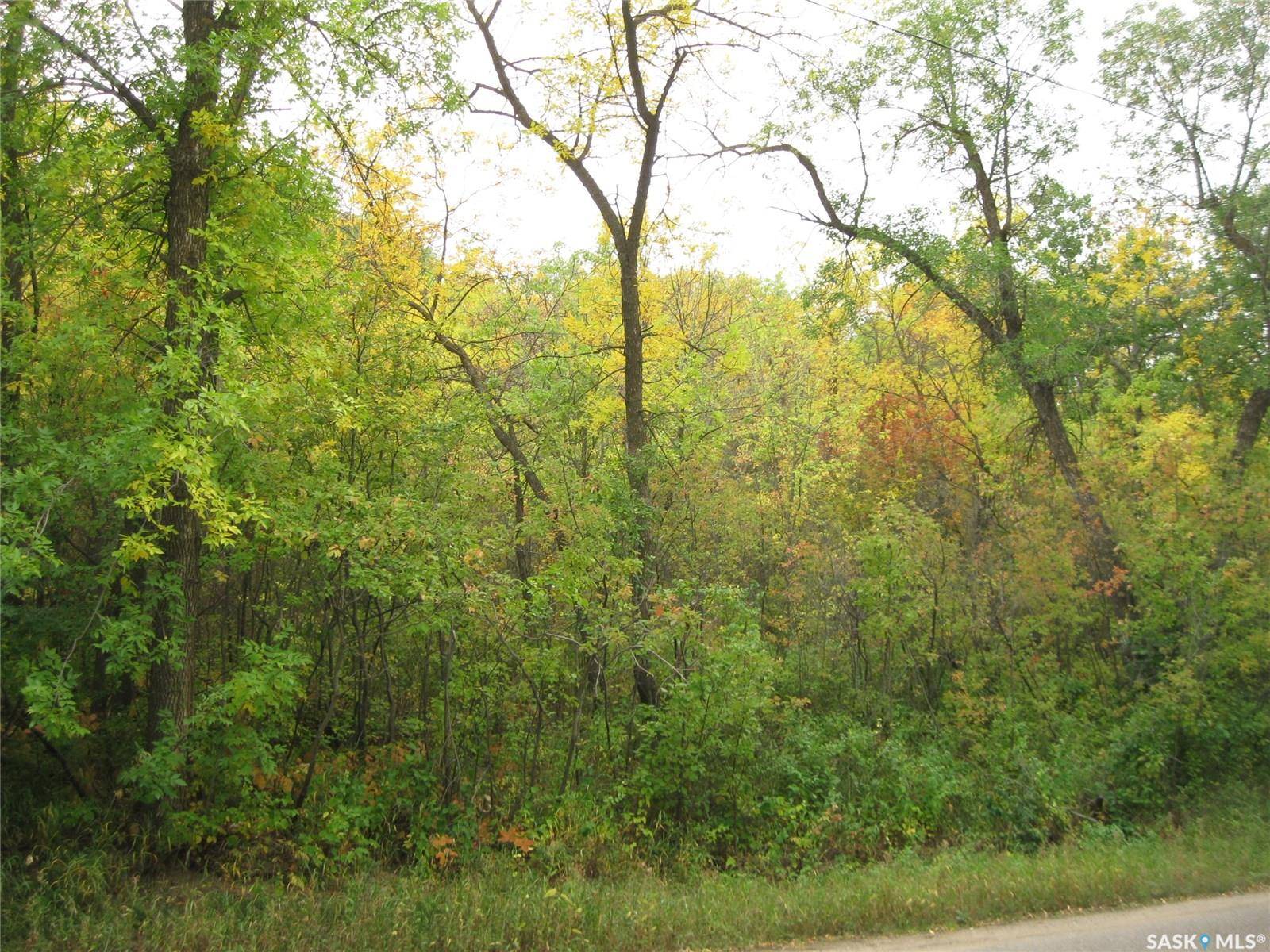 Rural Address, B-say-tah, SK S0G 1S0
