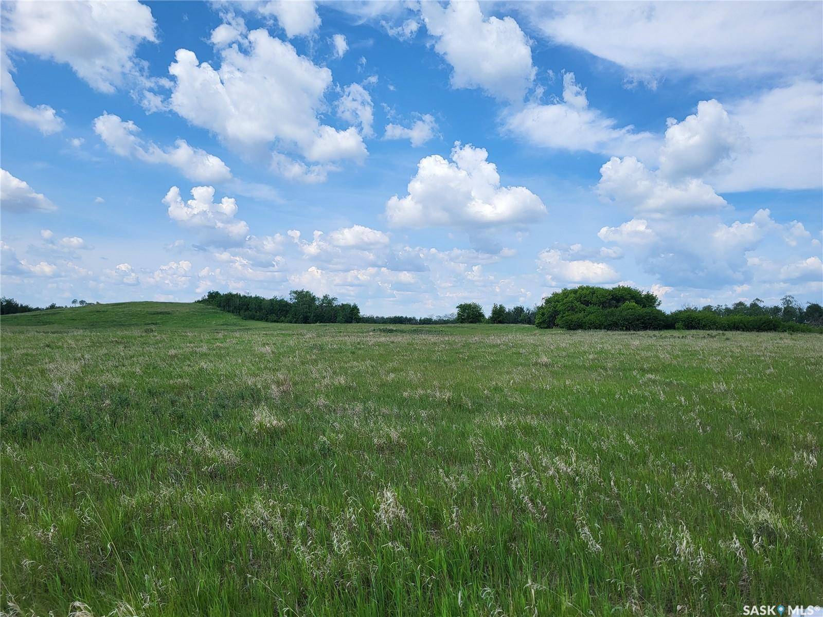Fish Creek Rm No. 402, SK S0K 0E0,Rural Address