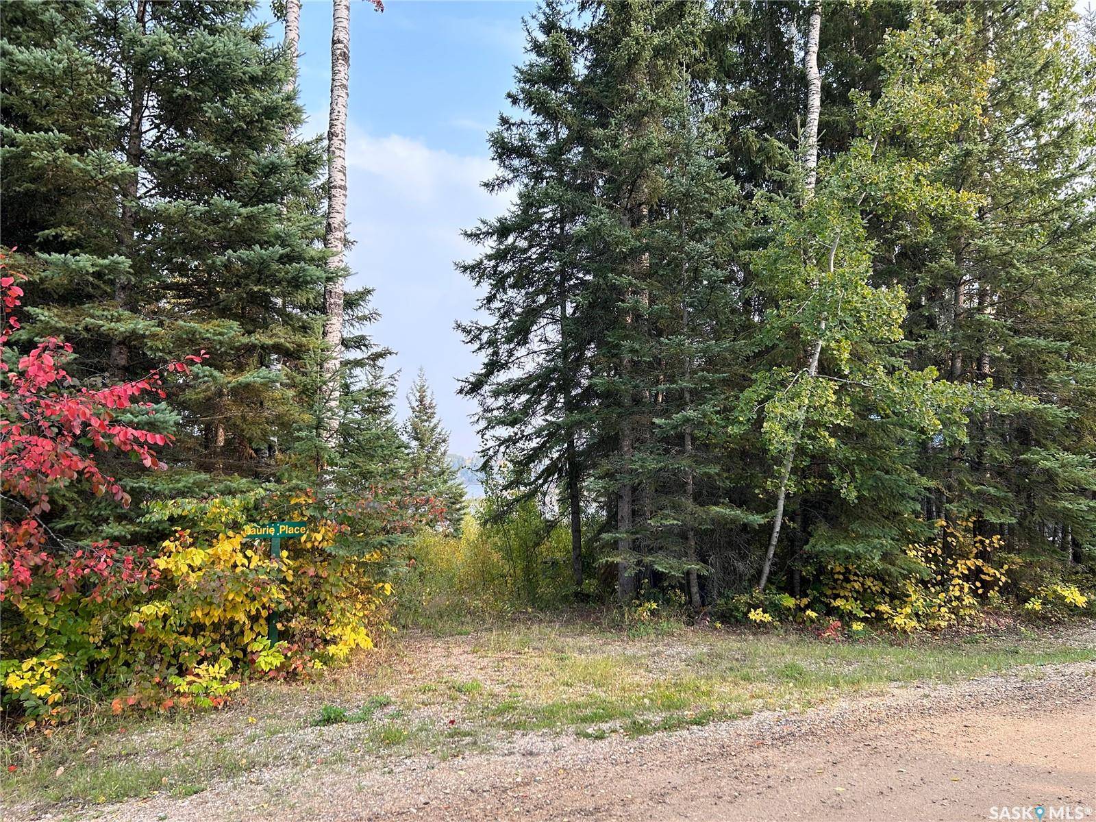 Paddockwood Rm No. 520, SK S0J 0N0,1301 Laurie PLACE
