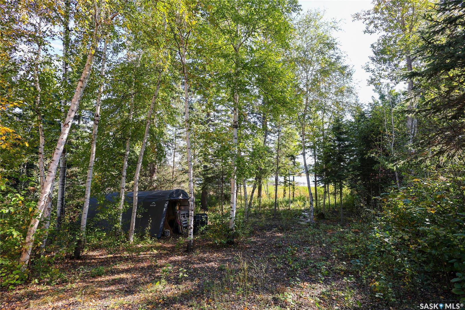 Paddockwood Rm No. 520, SK S0J 0N0,1305 Laurie PLACE