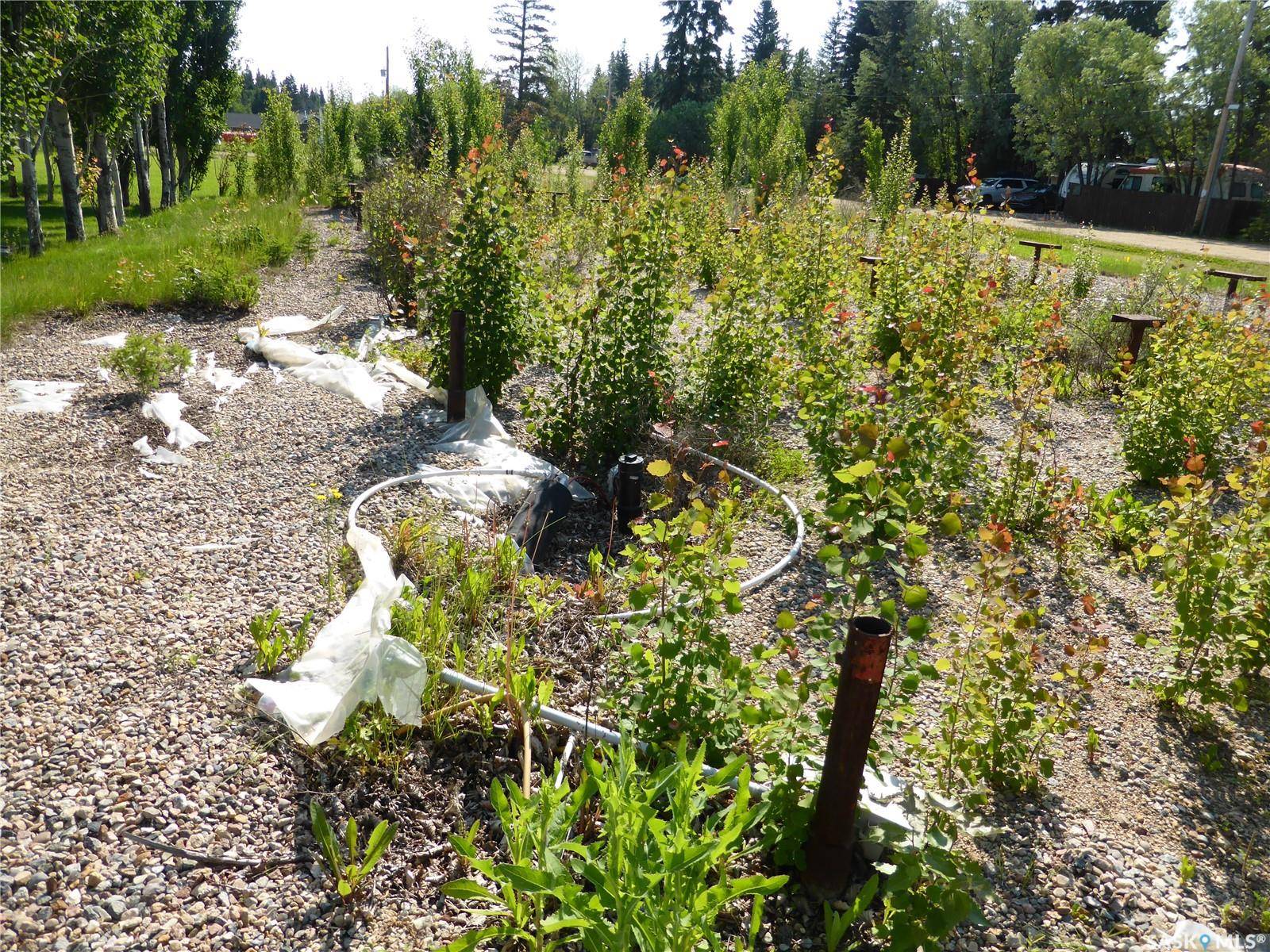 Kivimaa-moonlight Bay, SK S0M 1J0,1 Sunshine PLACE