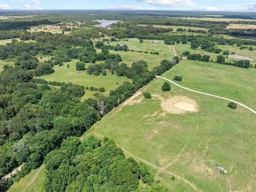 Ivanhoe, TX 75447,TBD County Road 2220