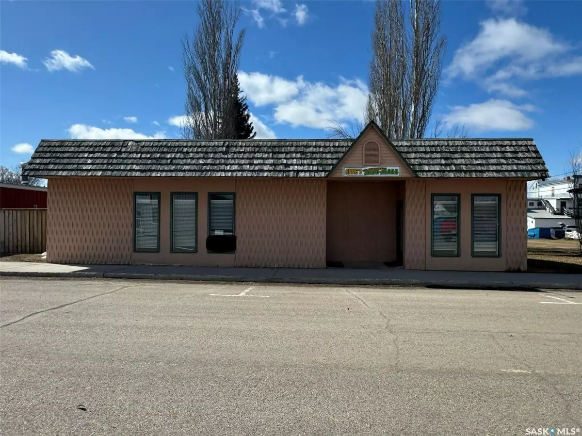 Preeceville, SK S0A 3B0,23 1st AVENUE NE