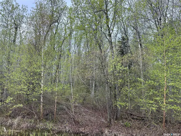 Big River Rm No. 555, SK S0J 0E0,Lake Address