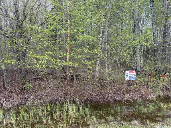 Big River Rm No. 555, SK S0J 0E0,Lake Address